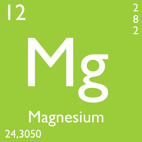 Effect of magnesium on male prostate function