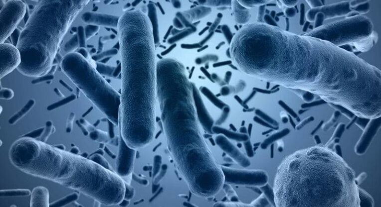 Bacteria causing acute infectious prostatitis